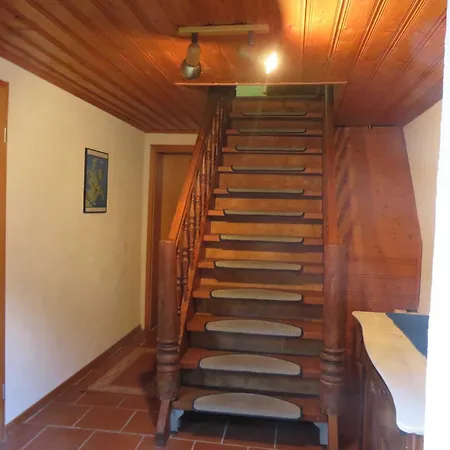 Appartamento Urlaub Bei Monsieur Pigard 42001 Goehren  Esterno foto