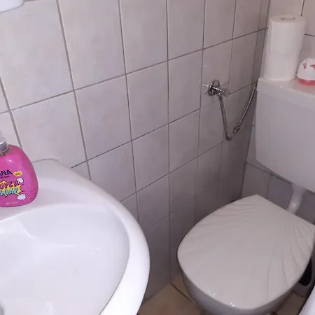 Appartamento Urlaub Bei Monsieur Pigard 42001 Goehren  Esterno foto
