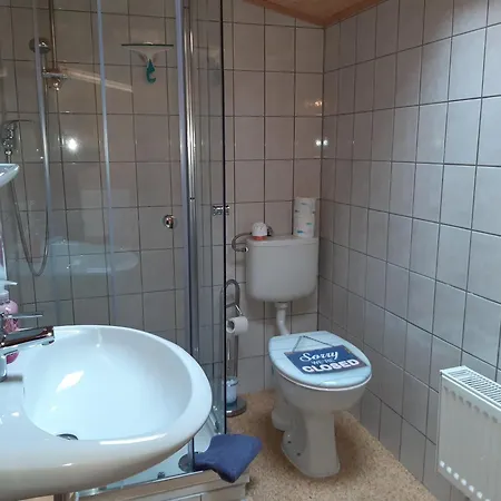 Appartamento Urlaub Bei Monsieur Pigard 42001 Goehren  Esterno foto