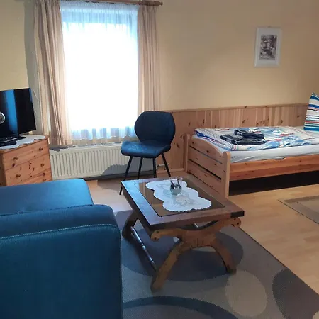 Appartamento Urlaub Bei Monsieur Pigard 42001 Goehren  Esterno foto