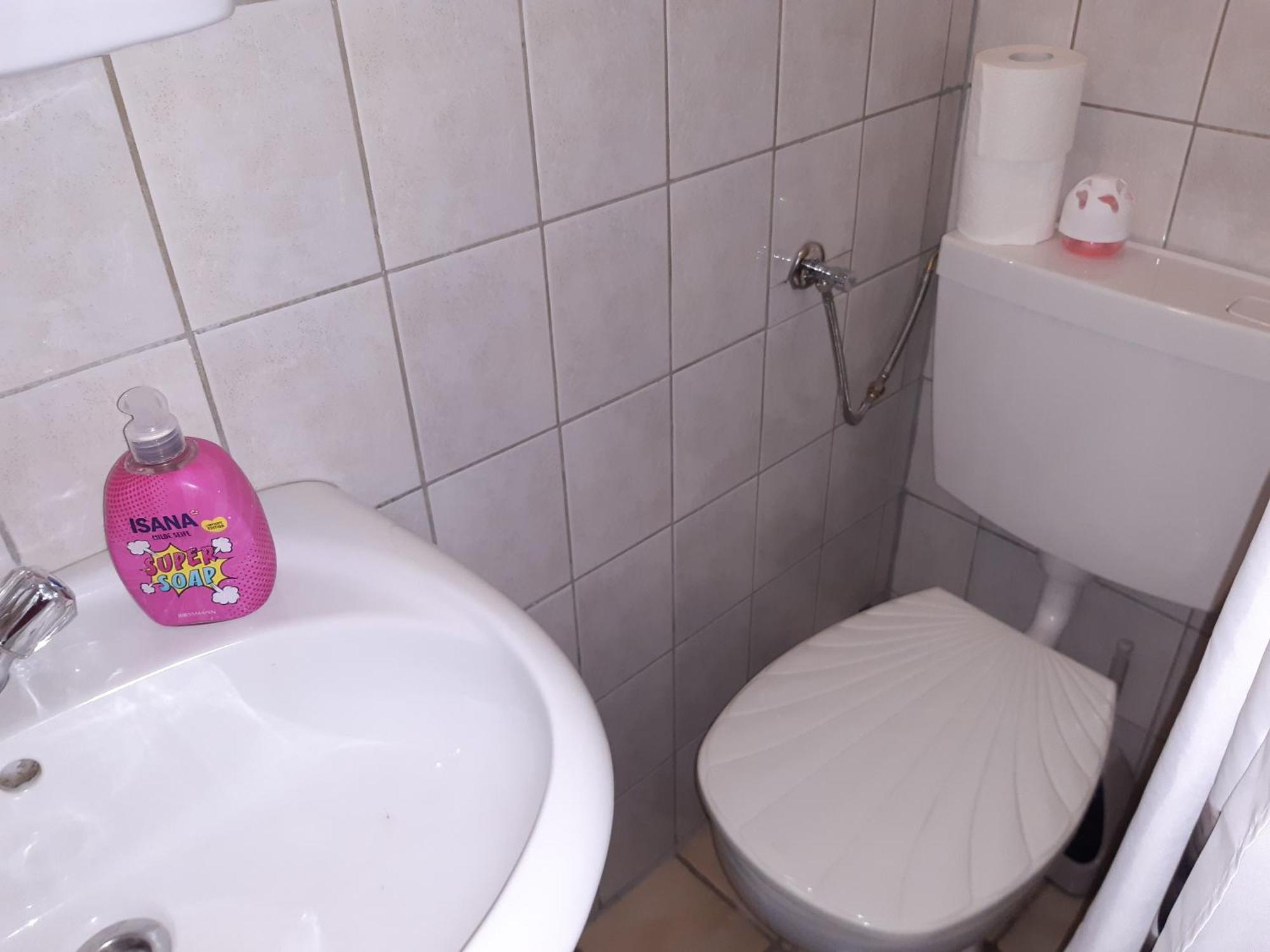 Urlaub Bei Monsieur Pigard 42001 Homestay